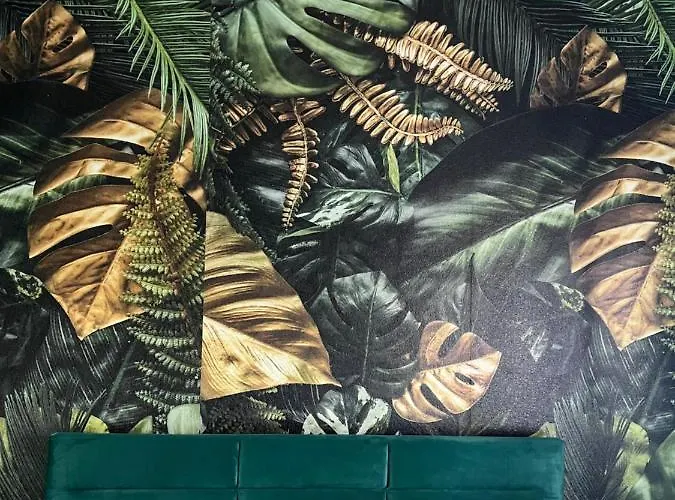 Luna Deluxe Olimpia Port